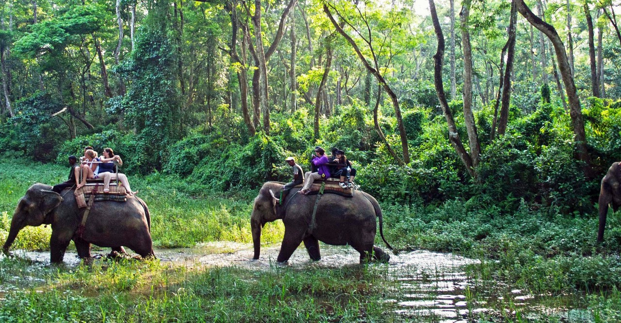 chitwan, nepal