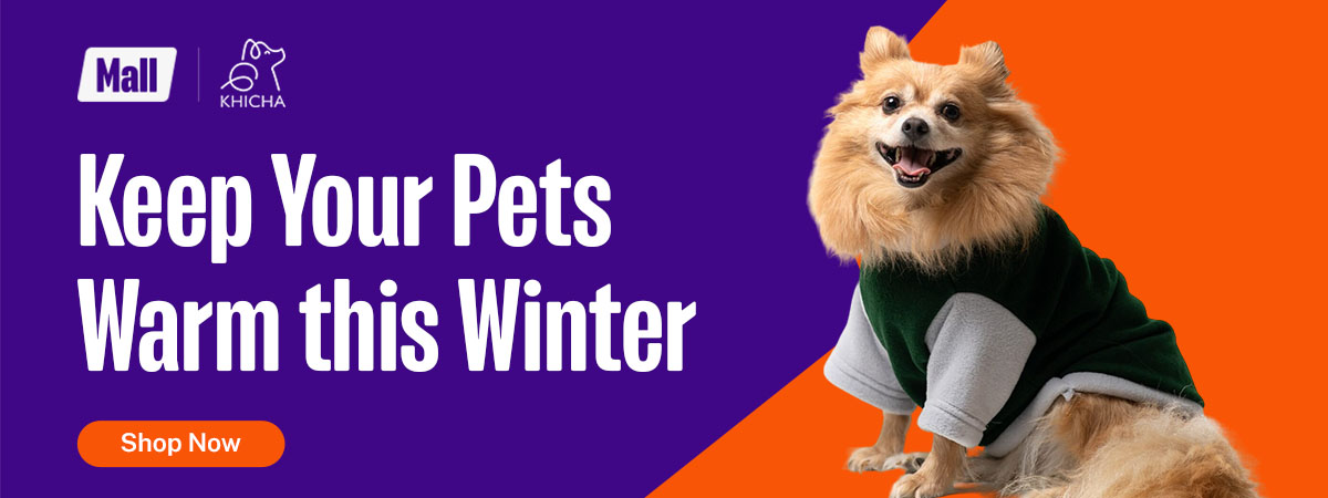 Keep Your Furry Friends Warm This Winter